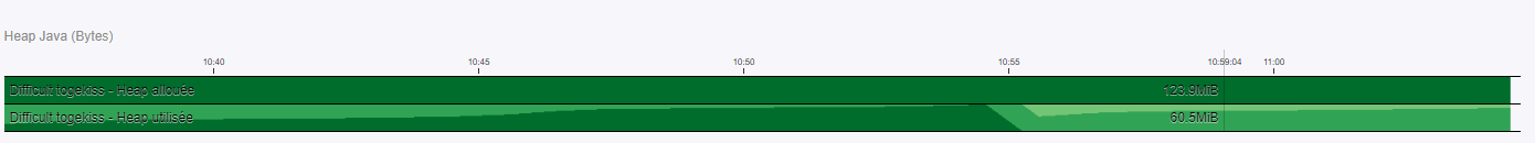 60Mb of the heap used